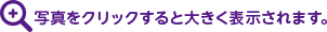 写真をクリックすると大きく表示されます。